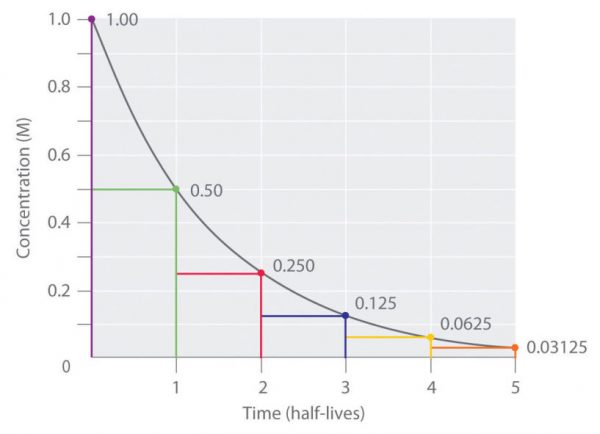 Half-life elimination curve (source: Chemistry LibreTexts, CC-by-4.0.)