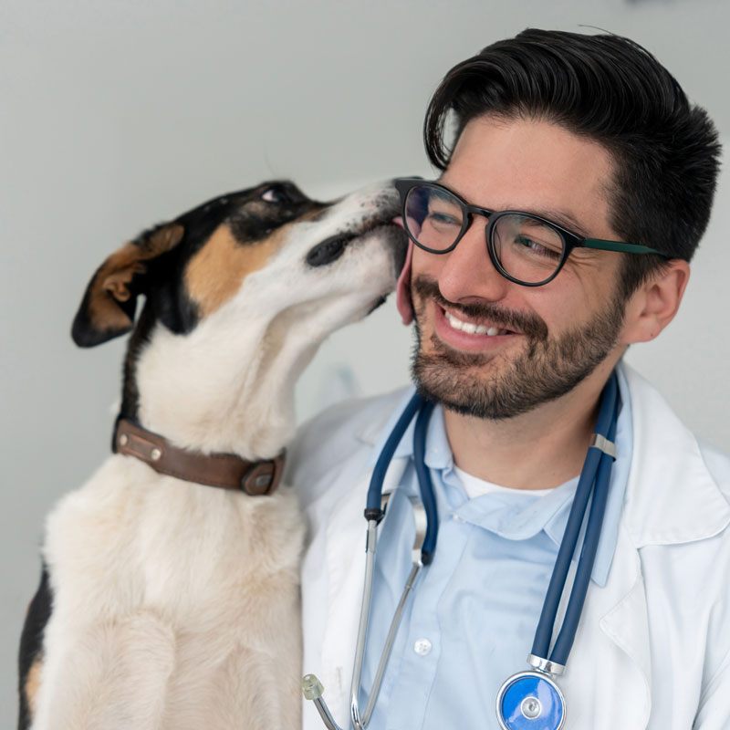 Very happy veterinarian getting a kiss from a dog stock