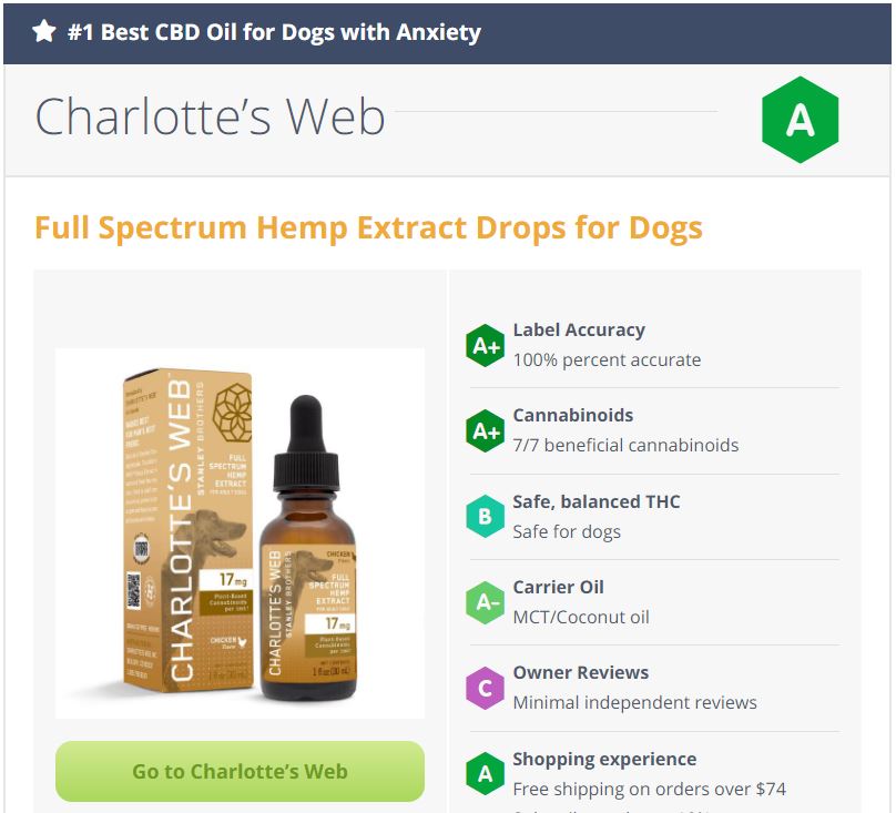Best CBD Oils for Dogs with Anxiety CBD Oil For Dogs