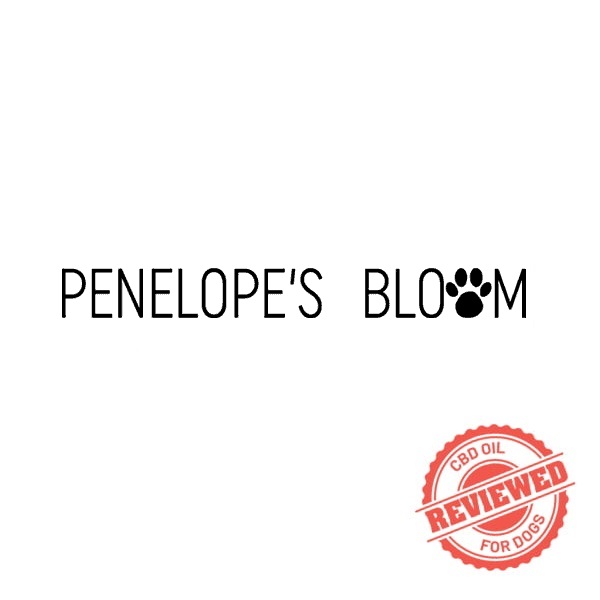 Penelopes Bloom review