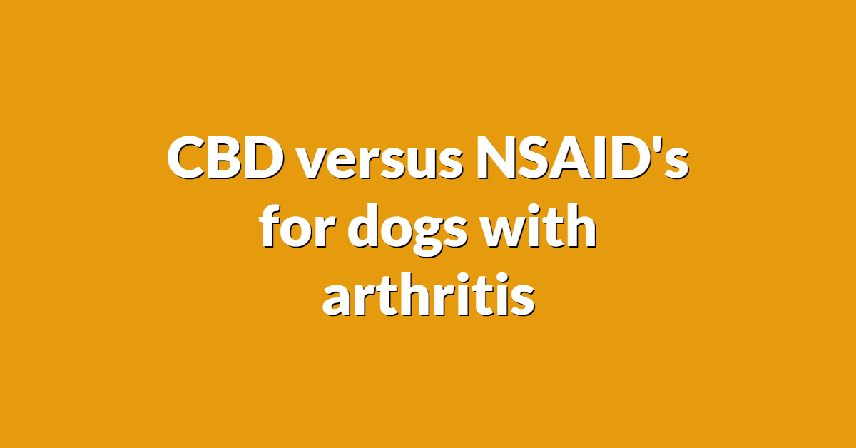 CBD vs. NSAID's for dogs with arthritis