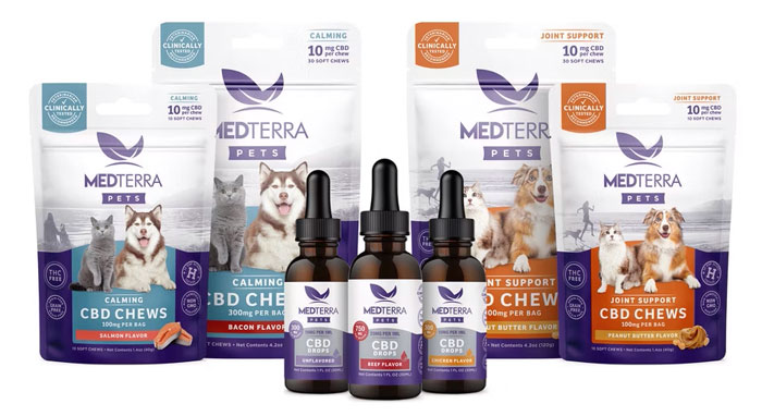 Medterra CBD Products for Dogs Group Shot