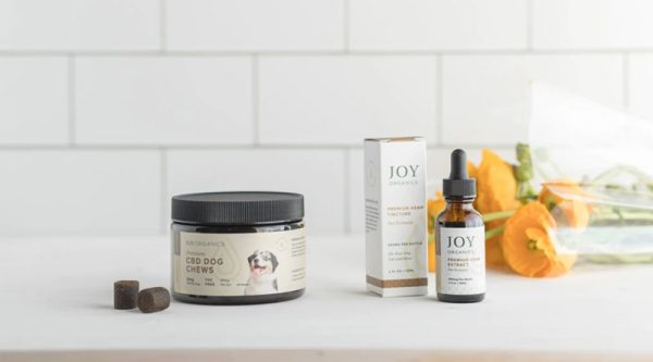CBD products for dogs from Joy Organics
