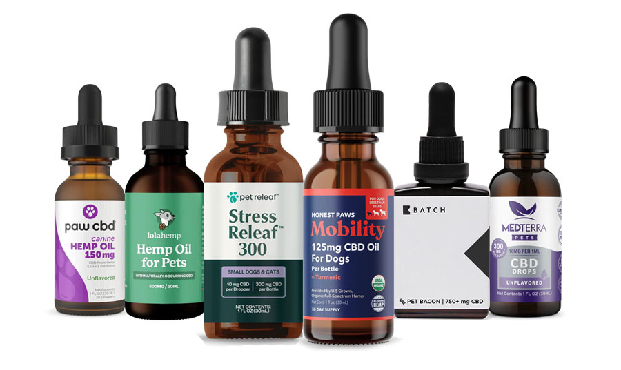 6 Best CBD Oils for Dogs lined up side by side