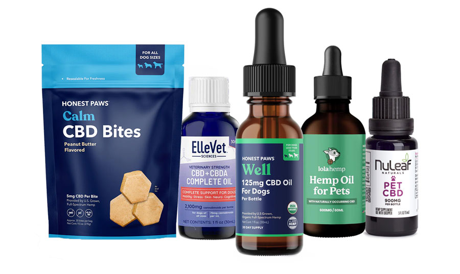 5 Best CBD Products for Dogs with seizures in 2024