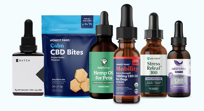 Best CBD Oils and Treat for 2024 lined up in a row