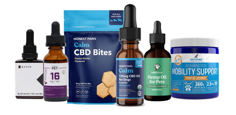 Best CBD products for dogs with Cancer 2024